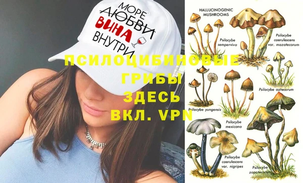 бошки Беломорск