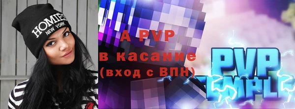 спиды Бородино