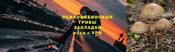 бошки Беломорск