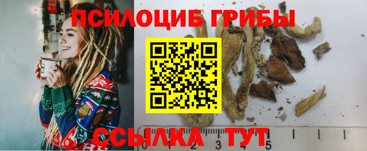 Галлюциногенные грибы Psilocybe  Вход с VPN  Великие Луки 